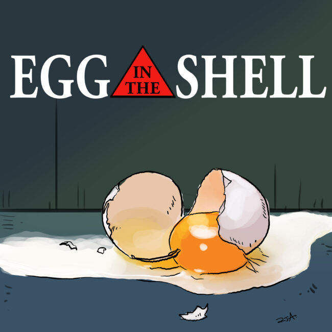 Egg in the Shell 5